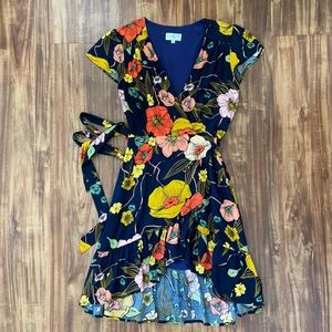 EUC XIX Palms El Dorado Party Dress